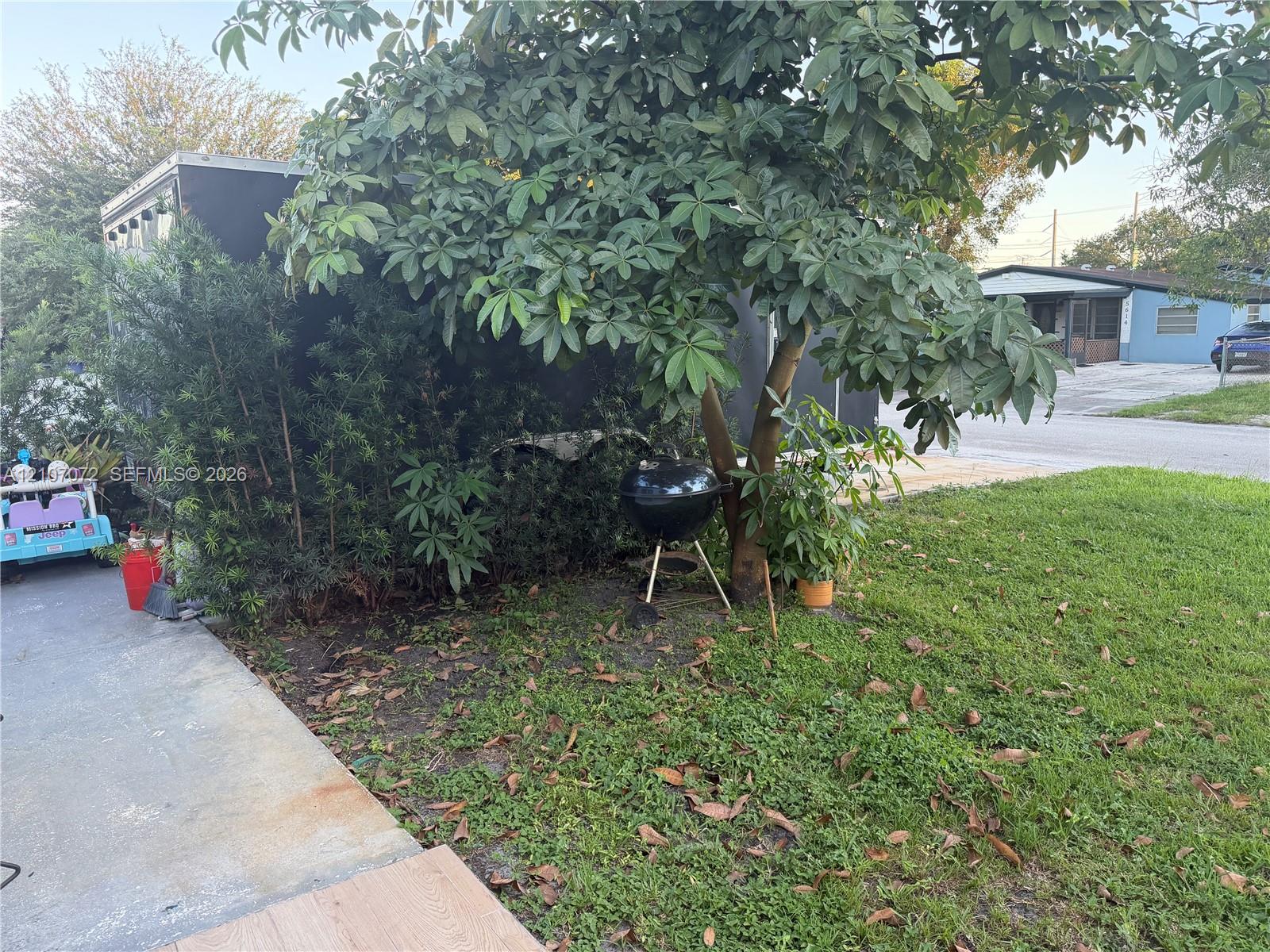 Mature tree canopy shading a grass lawn with concrete paving