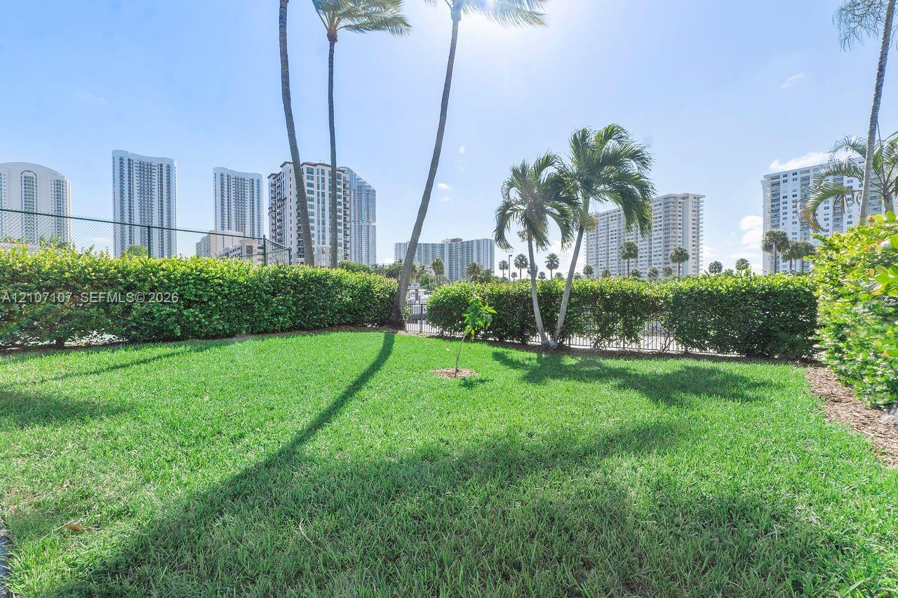 Expansive lawn area featuring mature palm trees and manicured privacy hedges