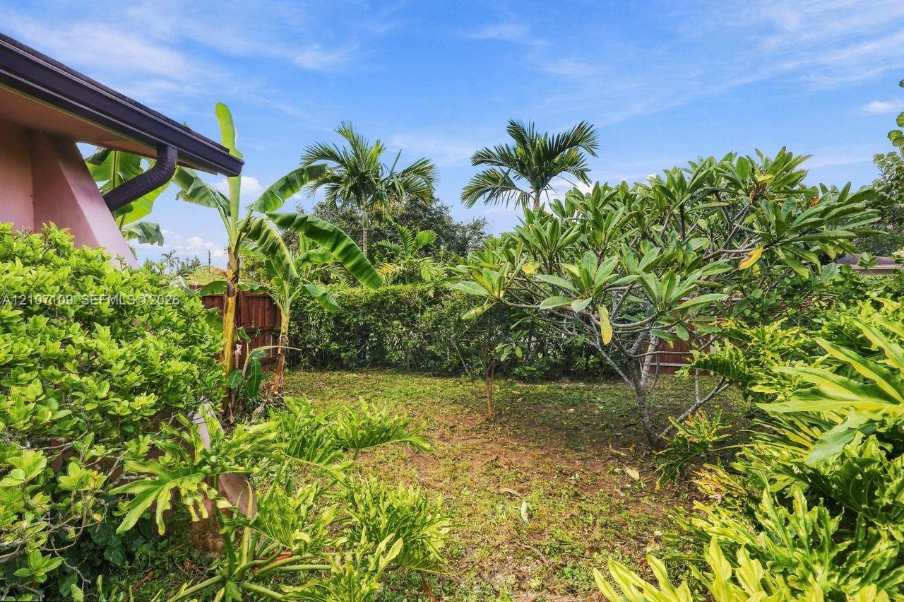 Private backyard featuring tropical landscaping, mature palm trees, diverse ornamental shrubbery, and wood fencing