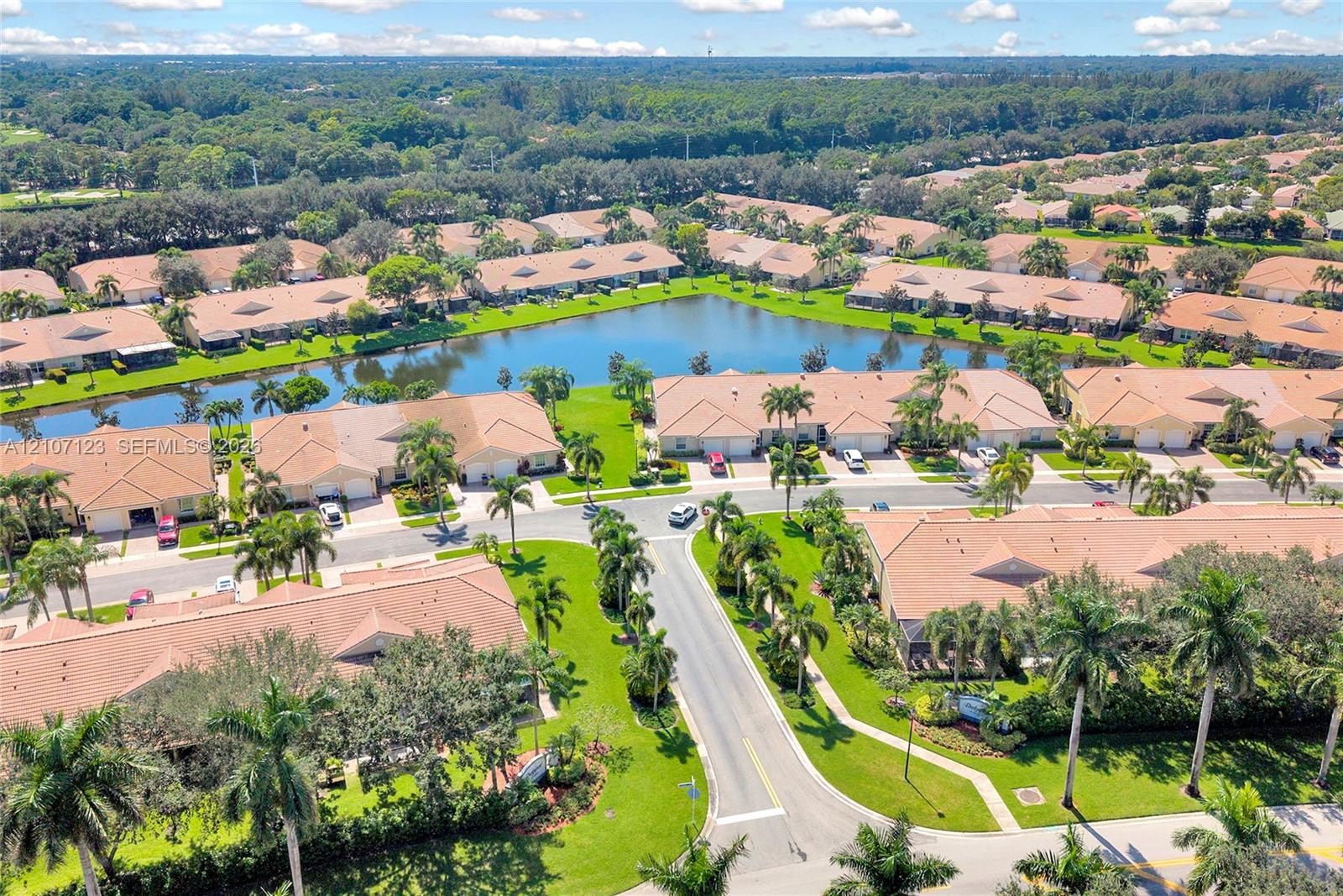 Aerial perspective of a residential community featuring a central lake, manicured lawns, mature palm trees, and paved street infrastructure