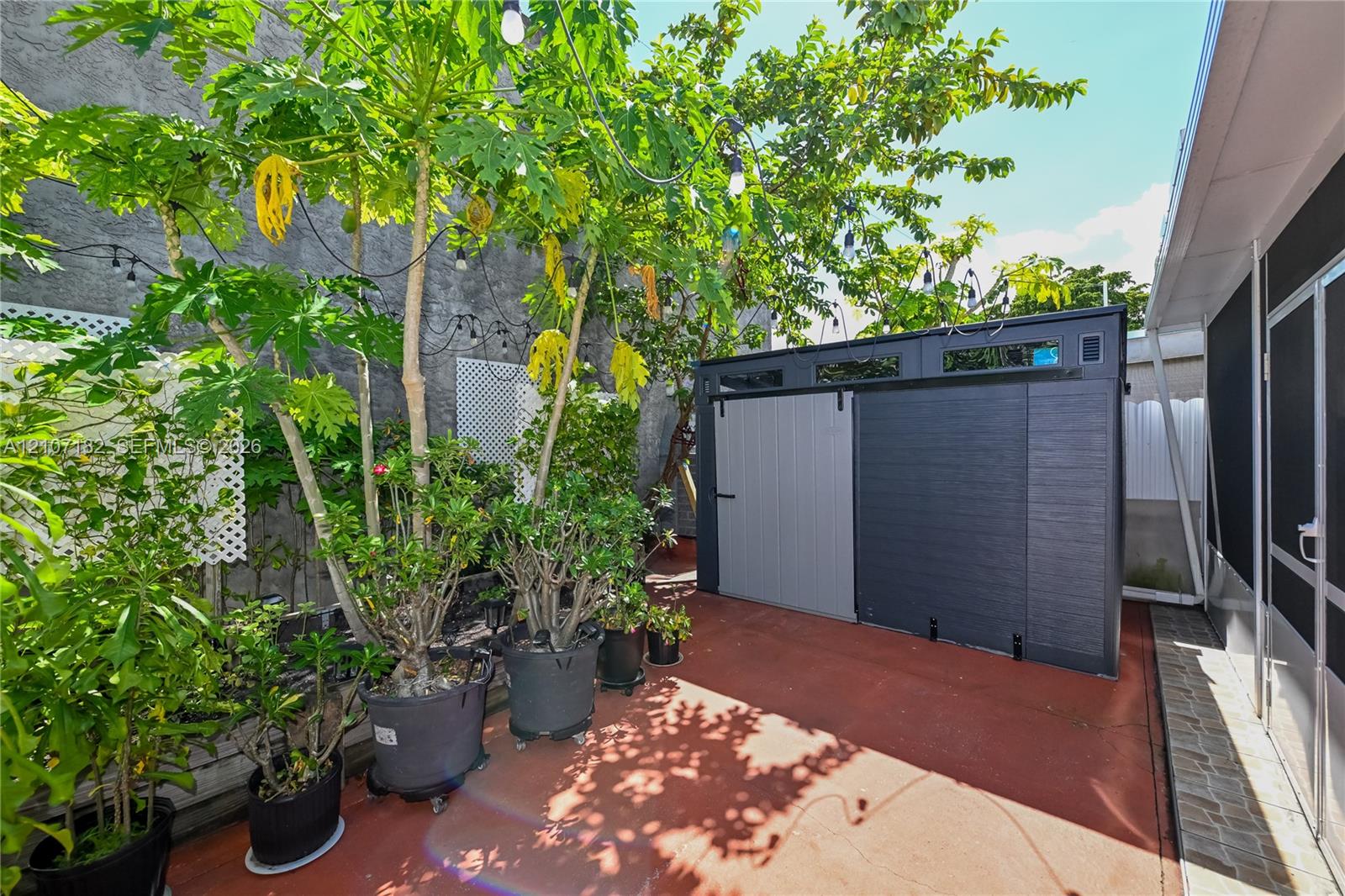 Exterior patio featuring concrete flooring, a dual-tone storage shed with sliding doors, white lattice screening, and overhead string lighting