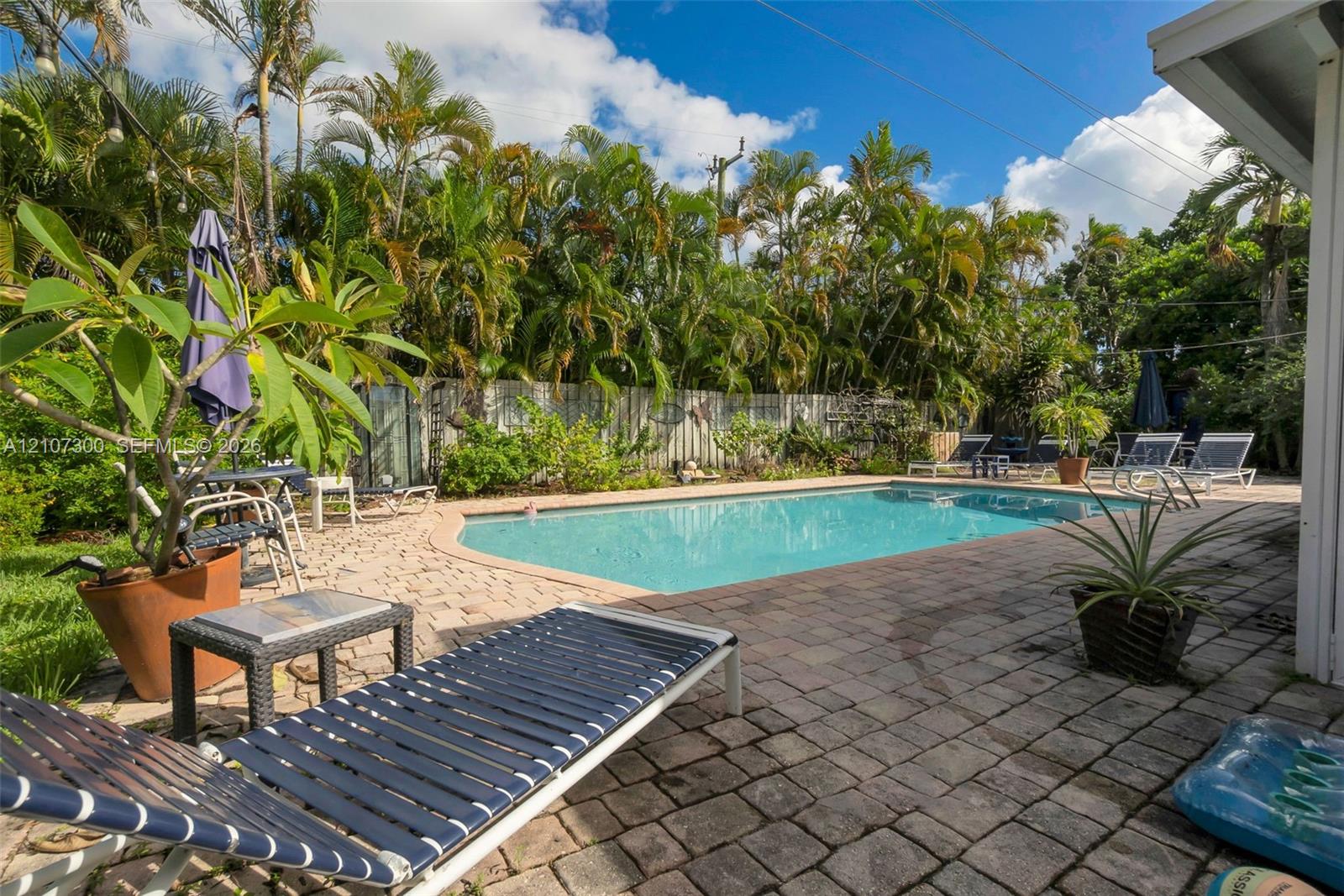Outdoor area featuring a rectangular in-ground swimming pool, expansive paver patio, and perimeter privacy fencing surrounded by mature palm trees