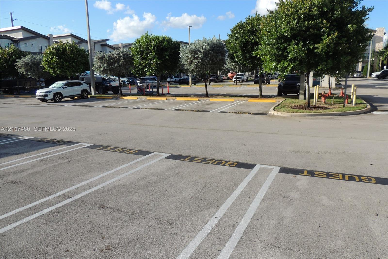 Paved surface lot featuring designated guest parking spaces and mature landscaping