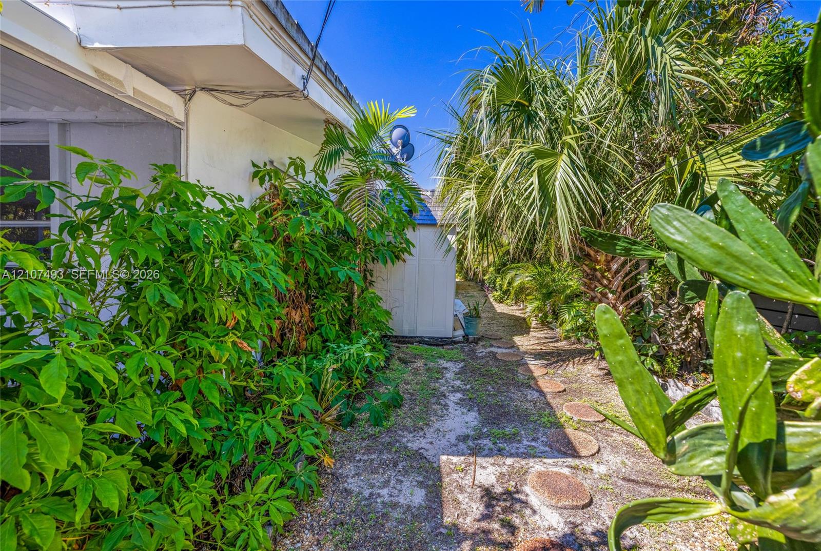 Exterior side yard featuring a series of circular stone pavers and mature tropical landscaping including palm trees