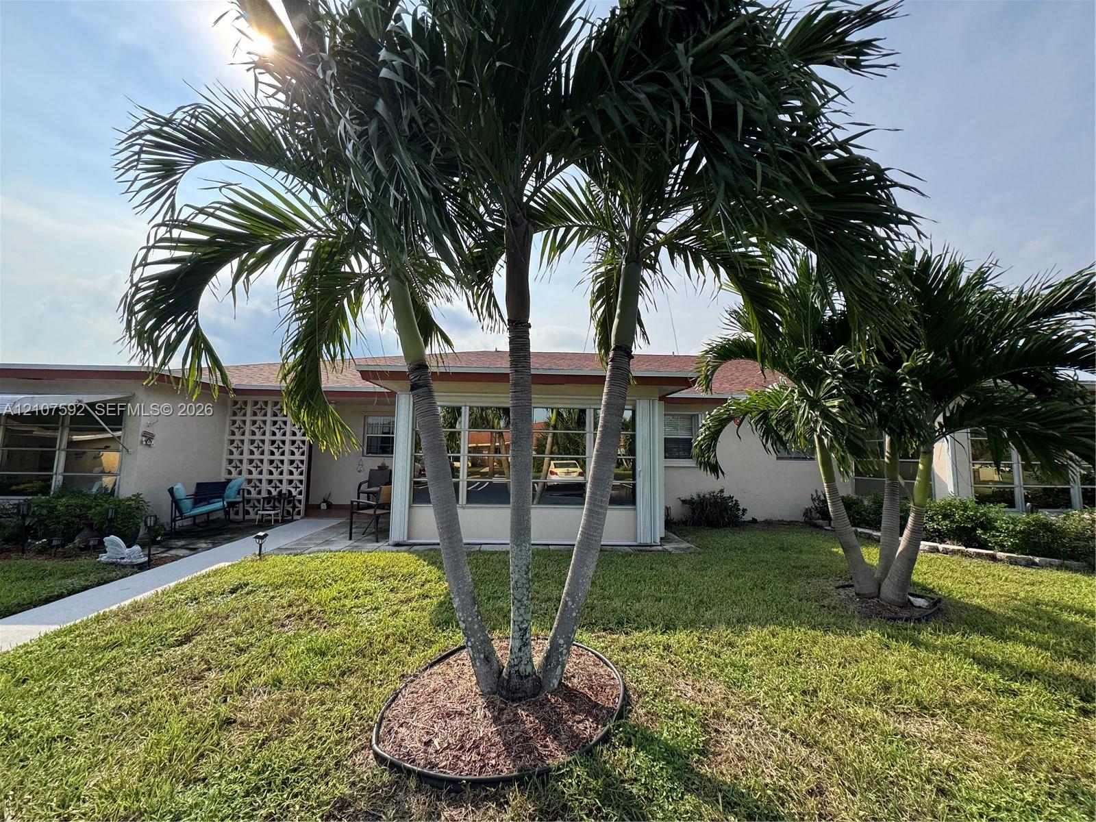 Exterior featuring a concrete walkway, decorative concrete block privacy screen, multi-pane windows, and mature palm trees Exterior featuring a concrete walkway, decorative concrete block privacy screen, multi-pane windows, and mature palm trees