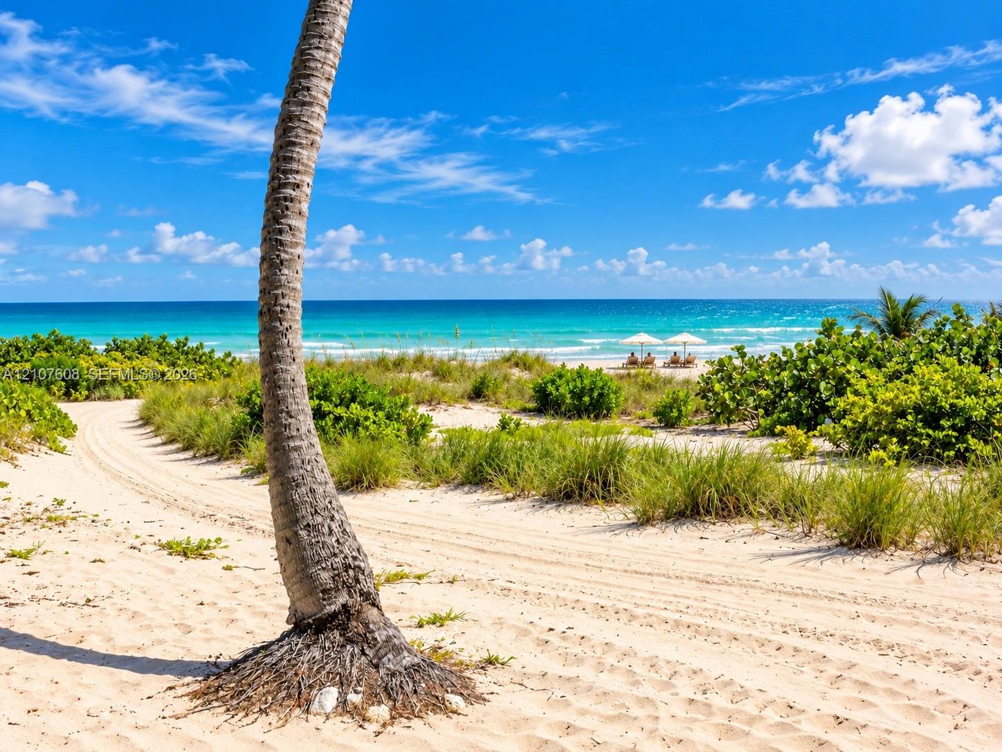 Sandy shoreline featuring native dune vegetation, tropical palm trees, and direct ocean access