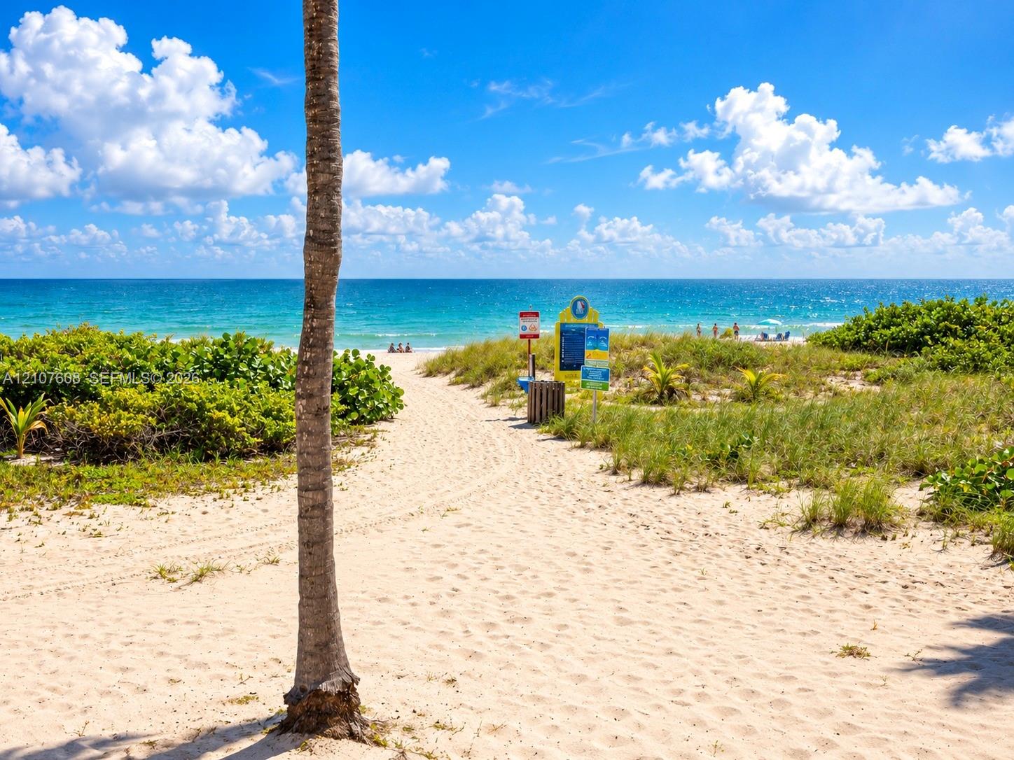 Sandy path lined with native coastal vegetation leading directly to the ocean shoreline
