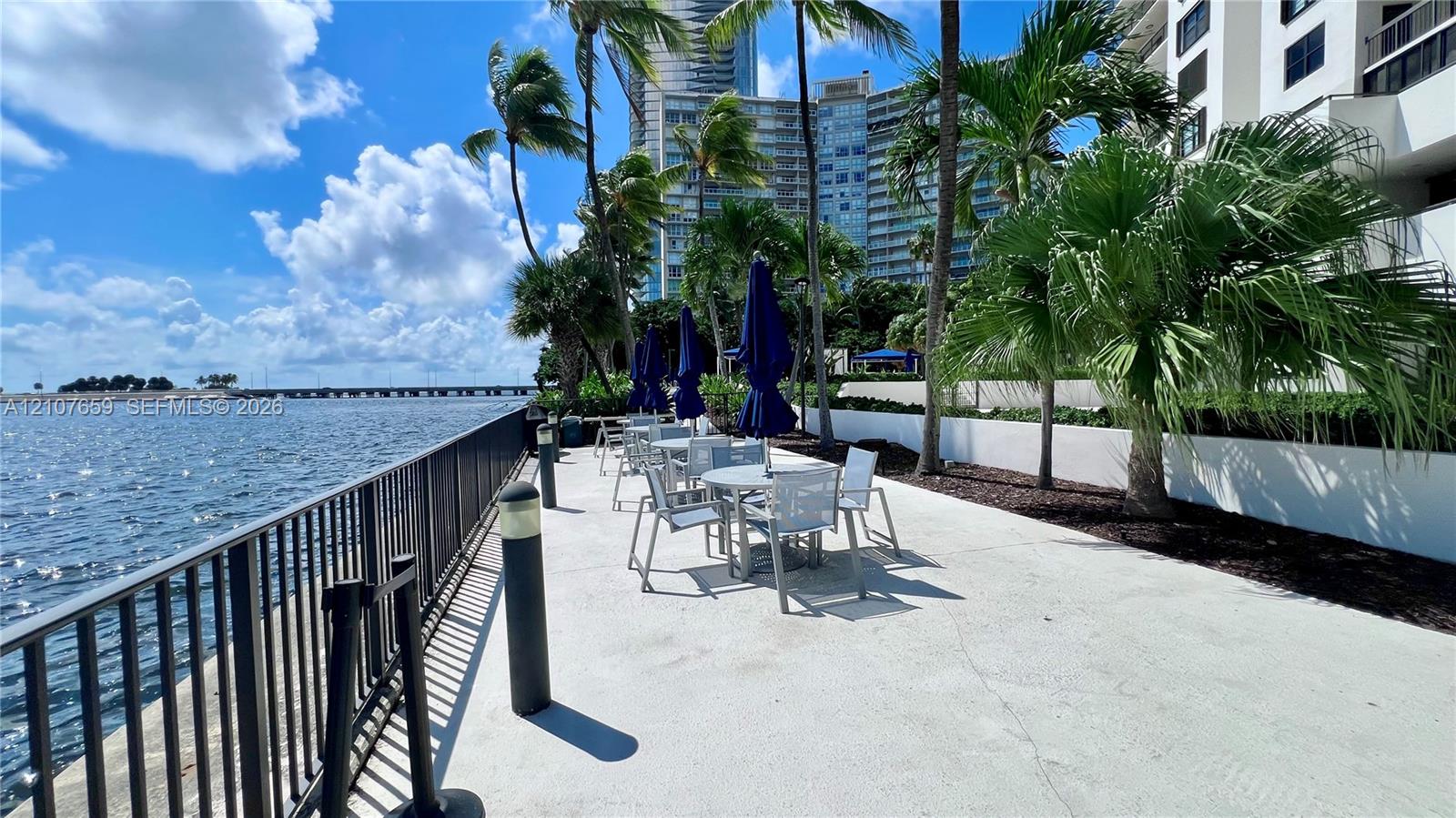 Waterfront terrace featuring concrete paving, a metal perimeter railing, and mature palm trees