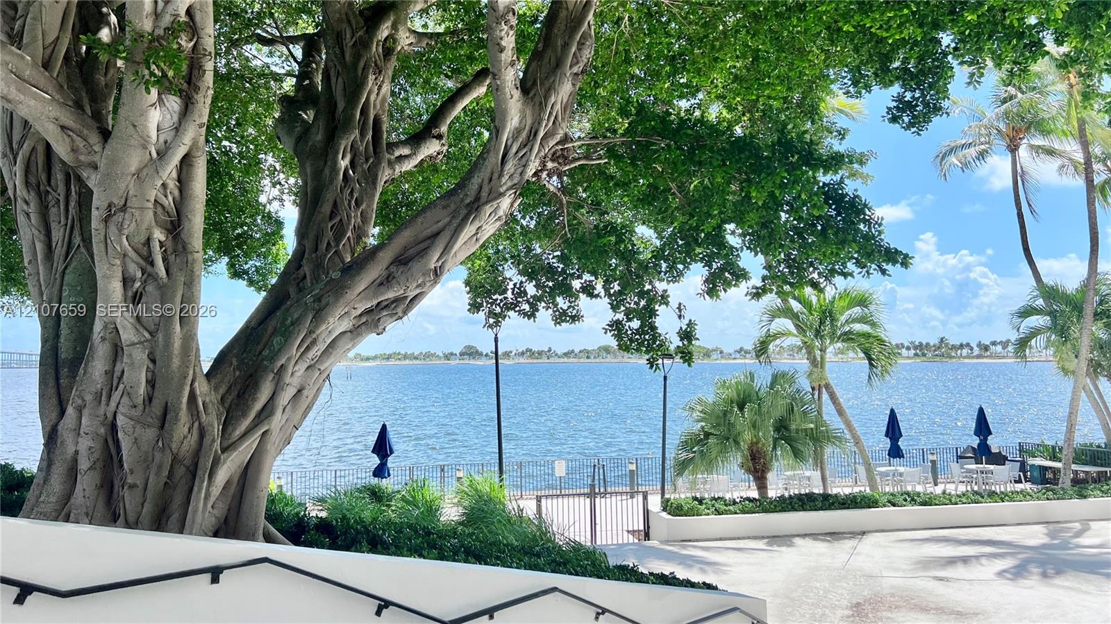 Waterfront outdoor space featuring a paved patio, metal perimeter fencing, mature trees, and palm trees