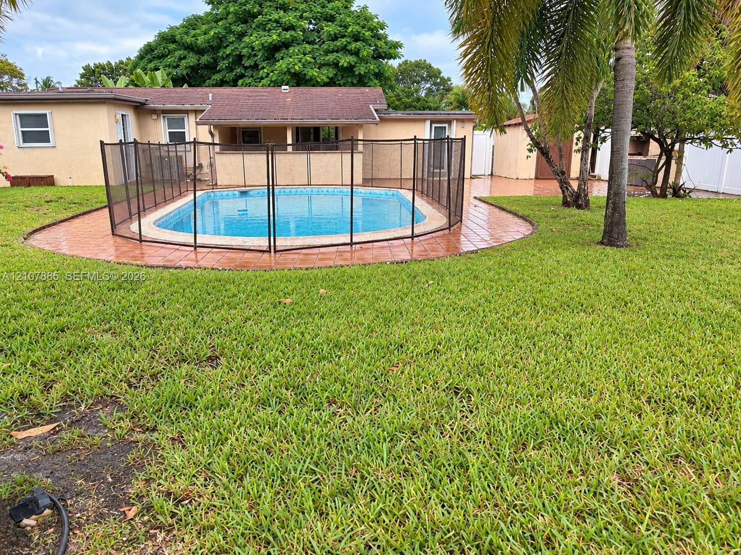 Backyard featuring an in-ground swimming pool with removable mesh fencing, tiled pool deck, and mature palm trees
