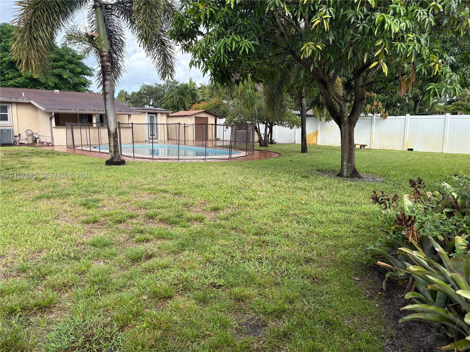 Expansive backyard featuring a swimming pool with perimeter fencing, a detached storage structure, mature trees, and privacy fencing