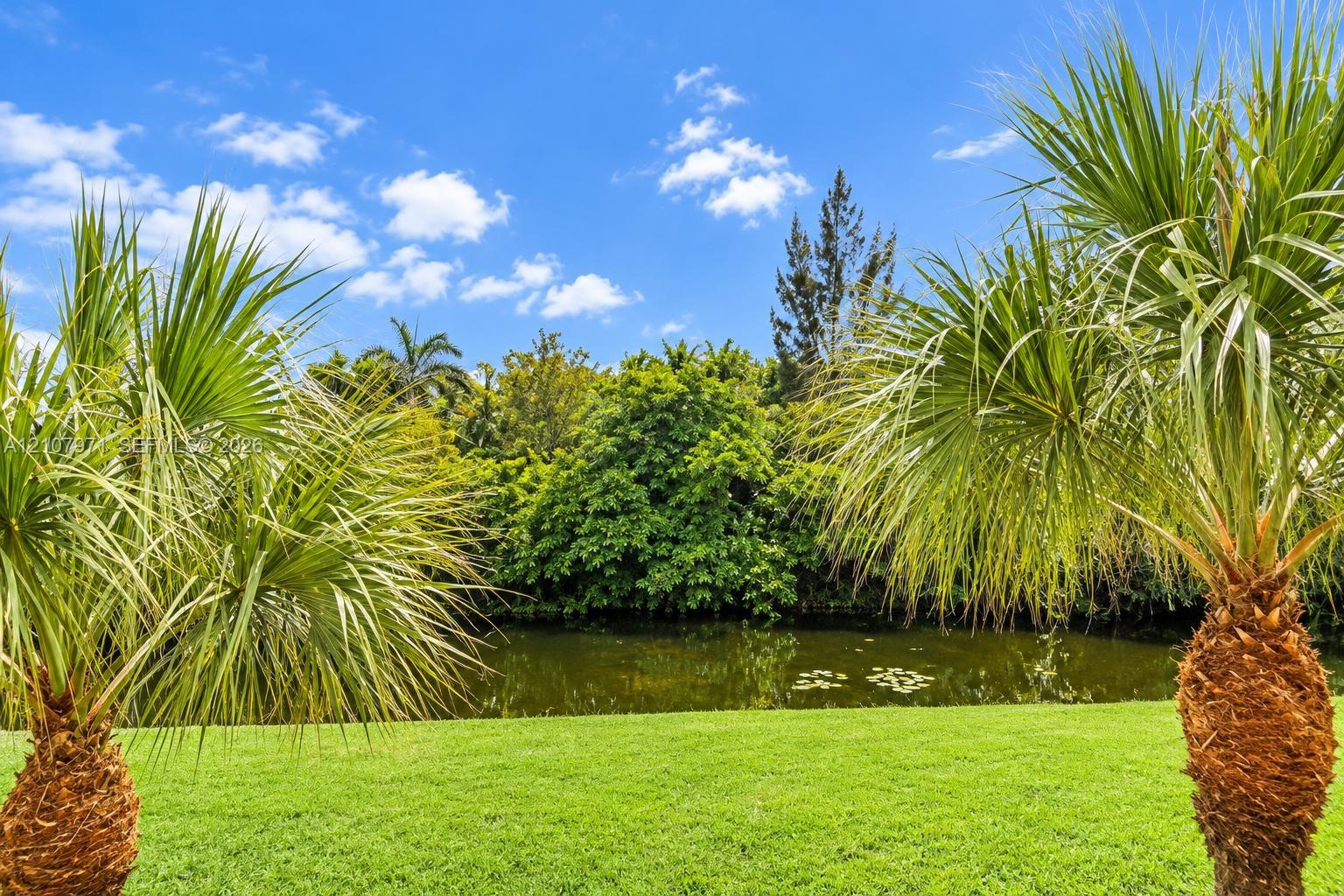 Lawn area with palm trees and a water feature backed by mature trees Lawn area with palm trees and a water feature backed by mature trees