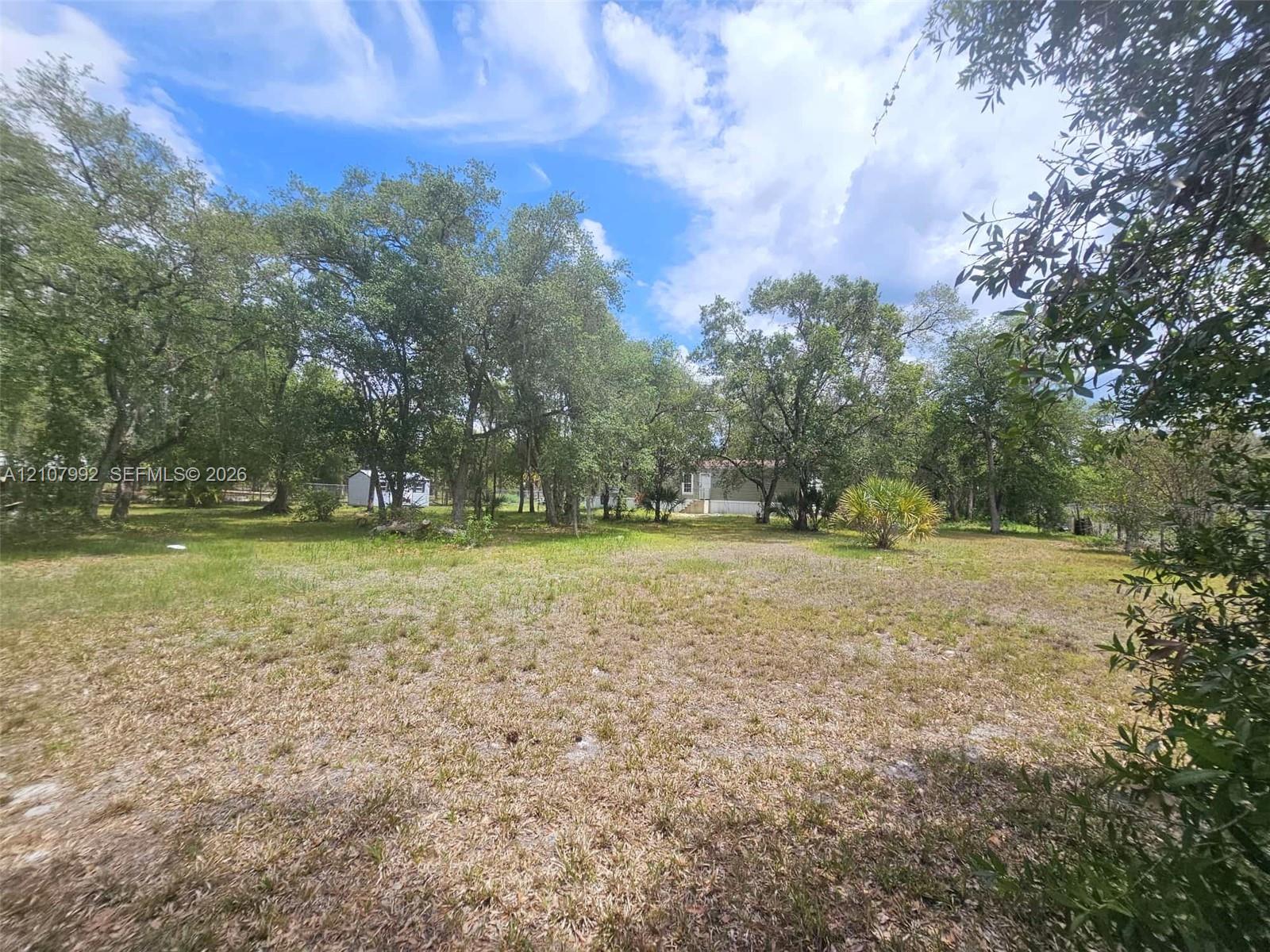 Expansive lot featuring mature native trees and significant open green space