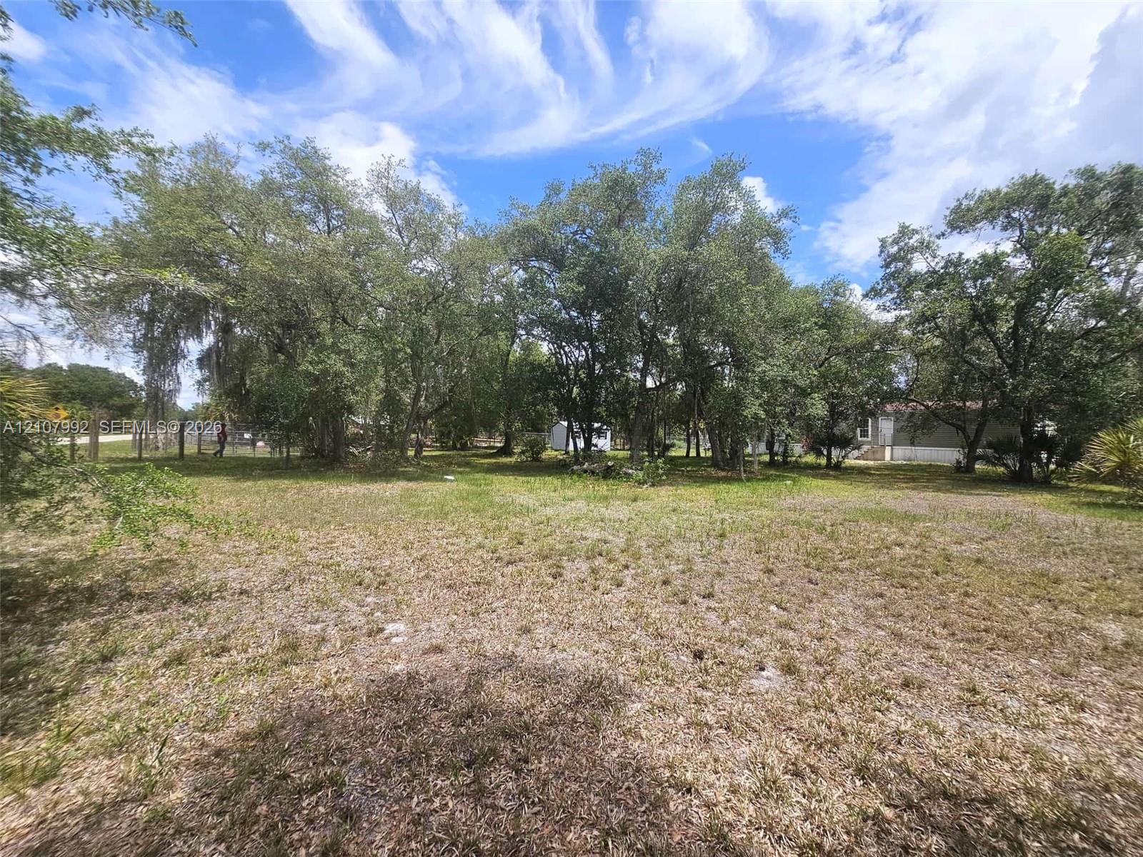 Expansive lot featuring mature shade trees and open grass area