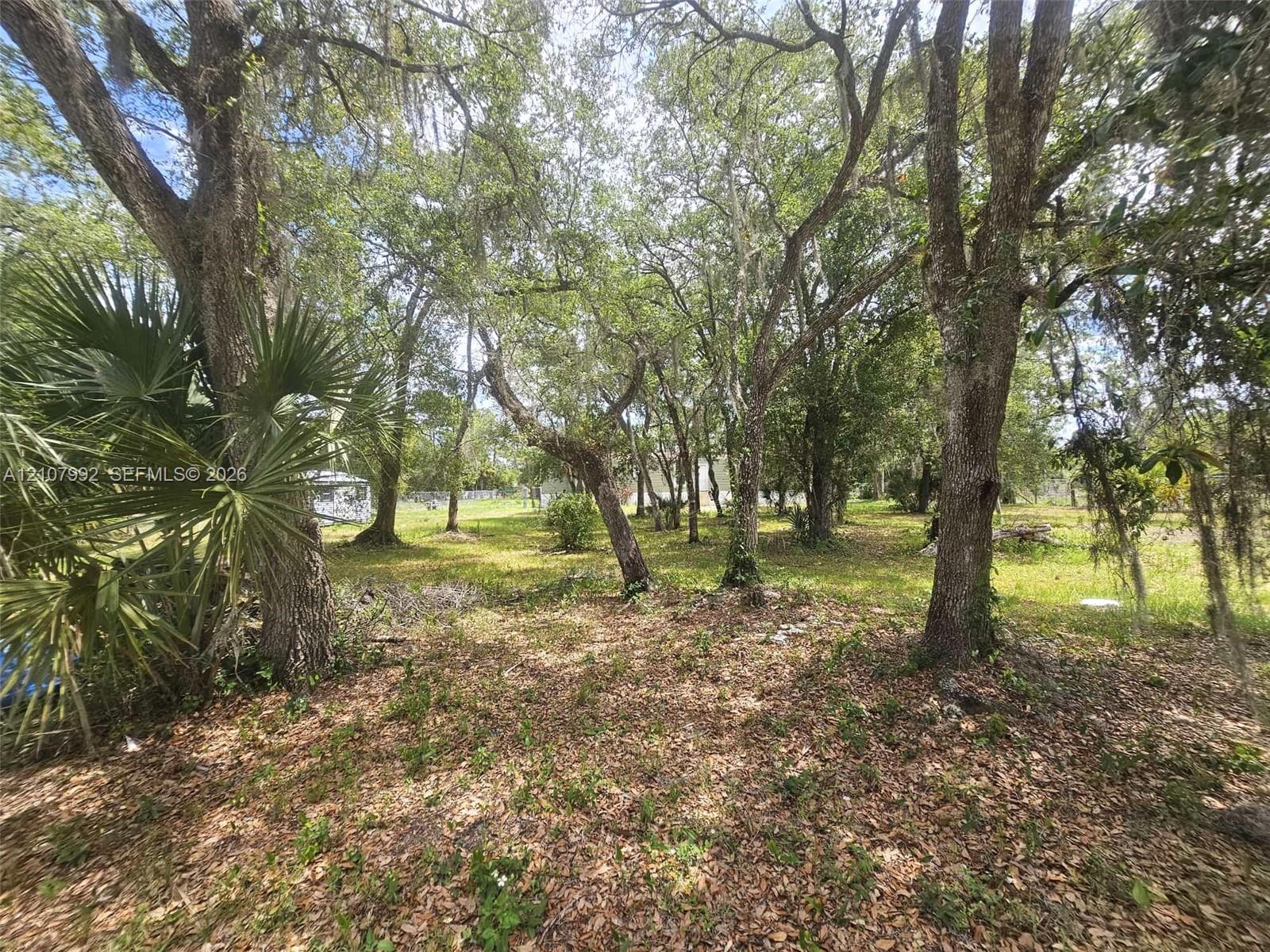 Expansive, partially wooded lot featuring mature oak trees and native palms