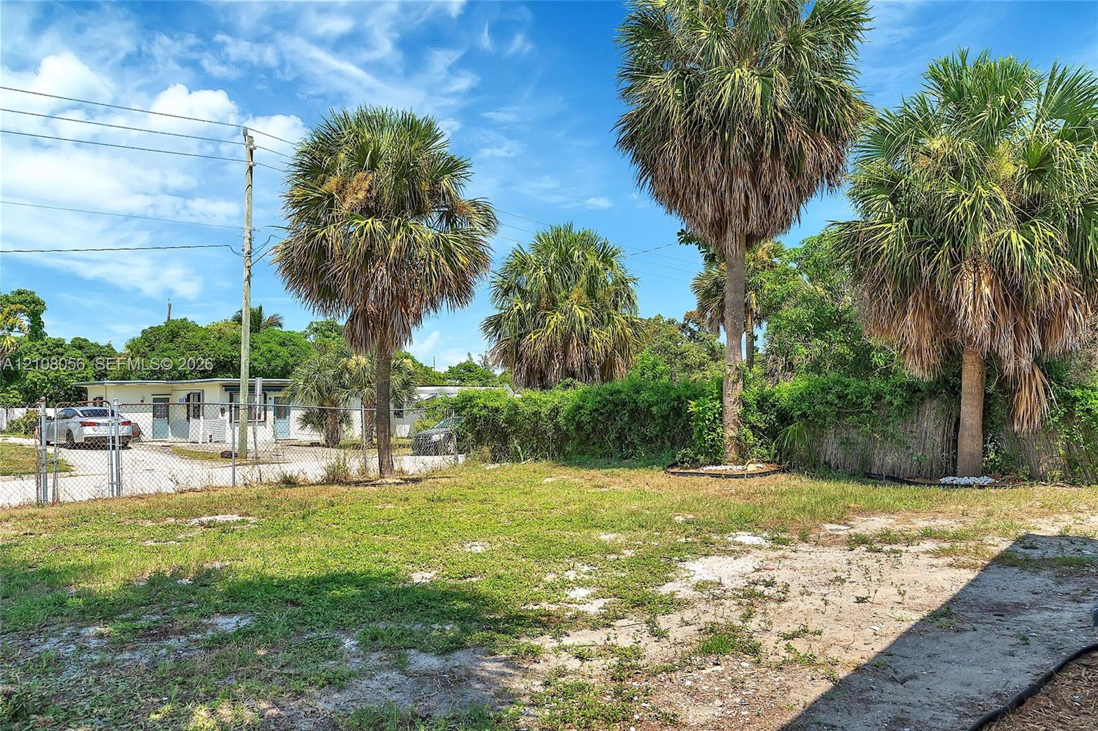 Open lot featuring mature palm trees, chain-link fencing, and established ground cover