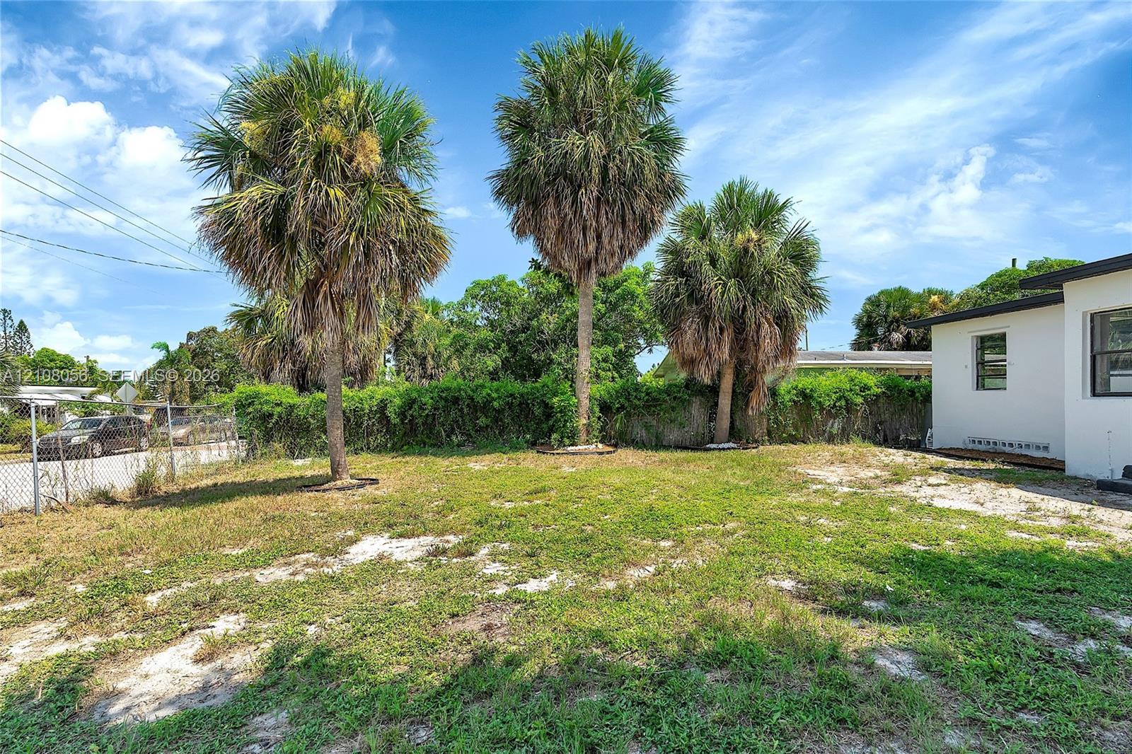 Open backyard featuring established palm trees and perimeter hedge fencing