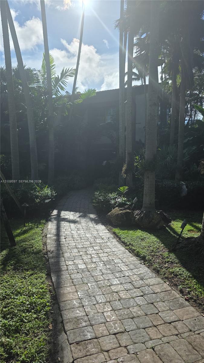 Paver stone walkway bordered by mature palm trees and established landscaping