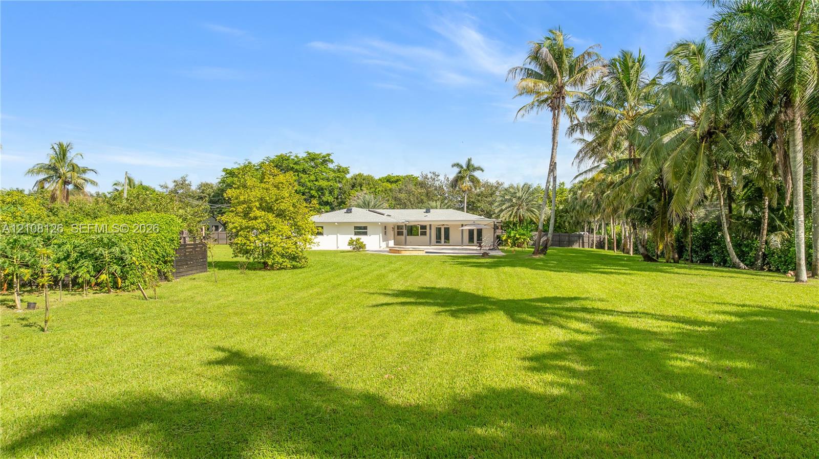 Expansive backyard featuring a sprawling manicured lawn, established palm trees, mature greenery, and a covered rear patio