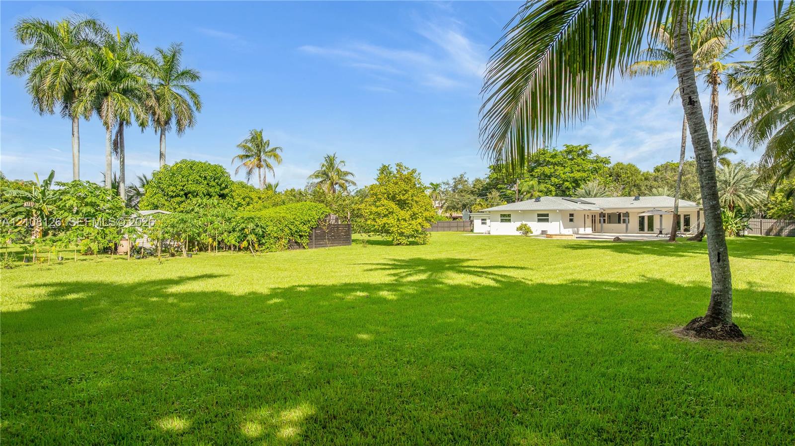 Expansive rear grounds featuring a manicured lawn, established palm trees, and mature landscaping