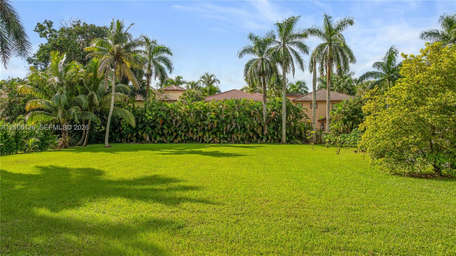 Expansive green lawn featuring mature palm trees and dense perimeter landscaping
