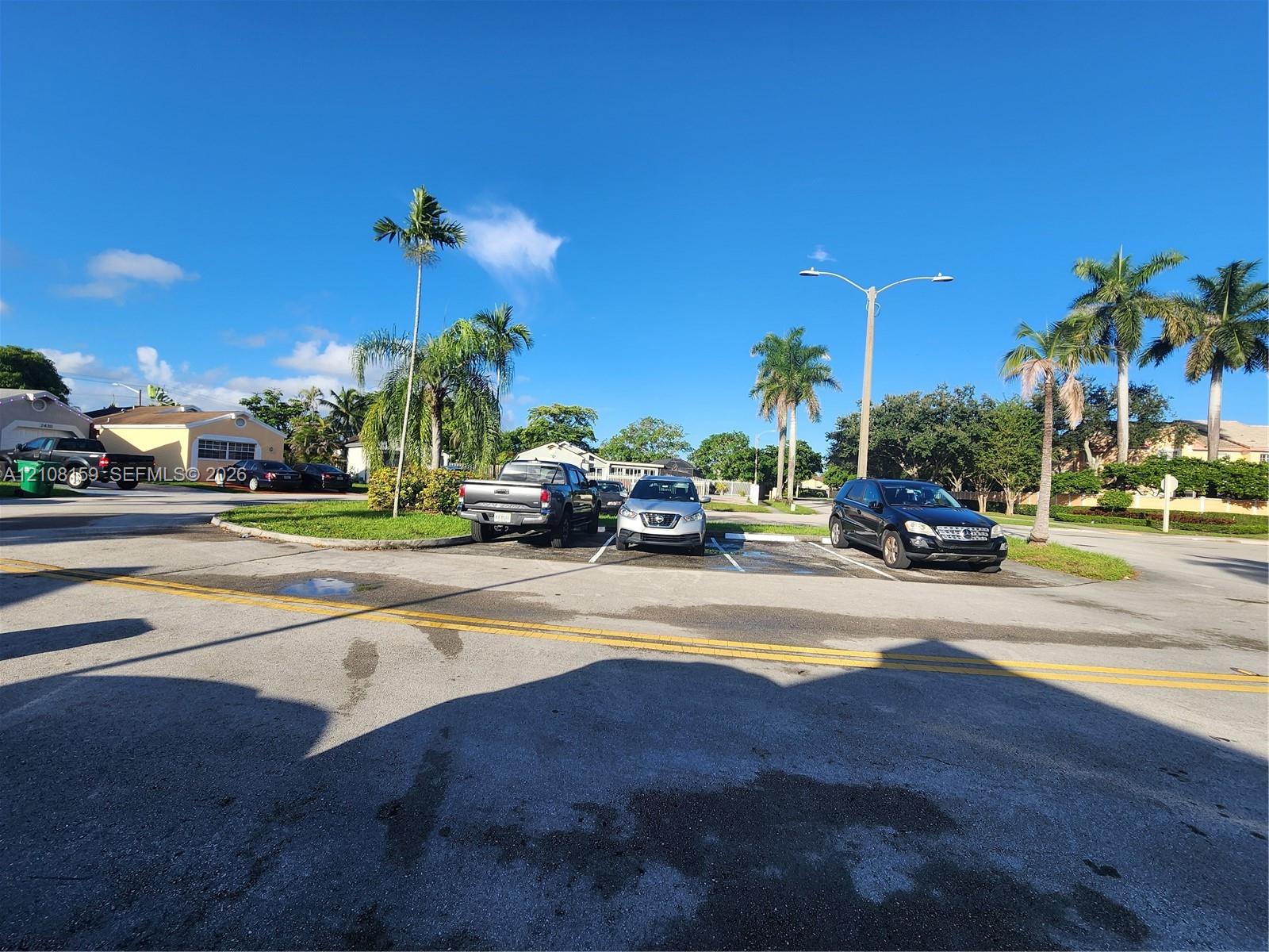 Designated surface parking area featuring marked spaces, asphalt paving, and mature palm trees