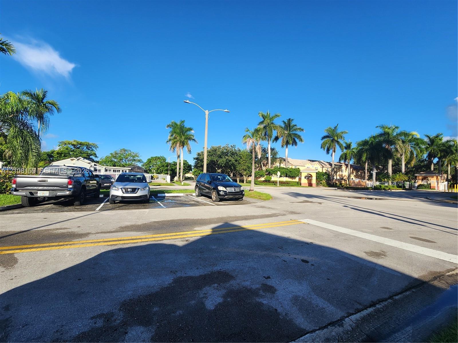 Paved surface parking area featuring marked spaces, overhead street lighting, and mature palm tree landscaping
