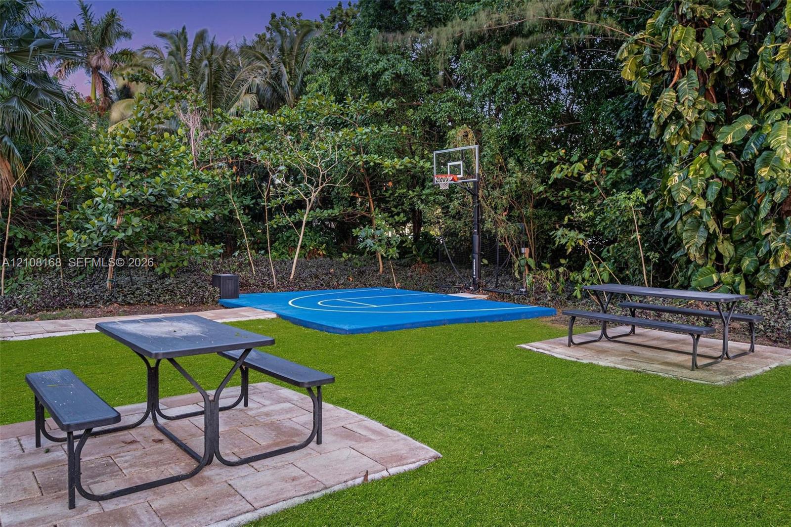 Outdoor recreation area featuring a blue-surfaced sports court with a backboard and surrounding mature foliage