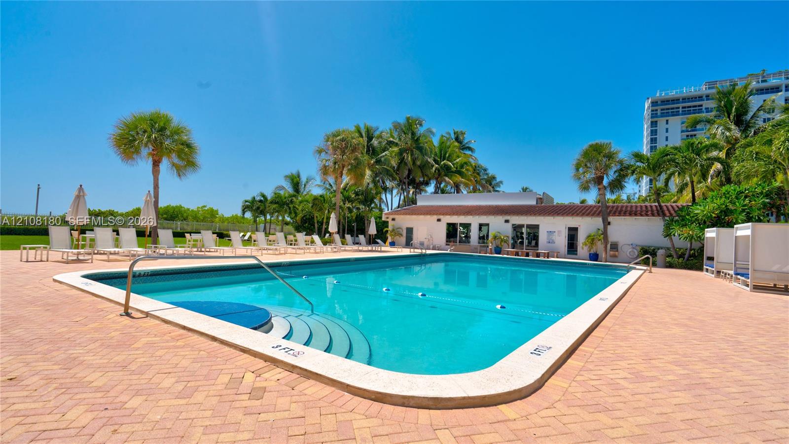 Rectangular swimming pool featuring a stepped entry and concrete pavers with mature palm trees