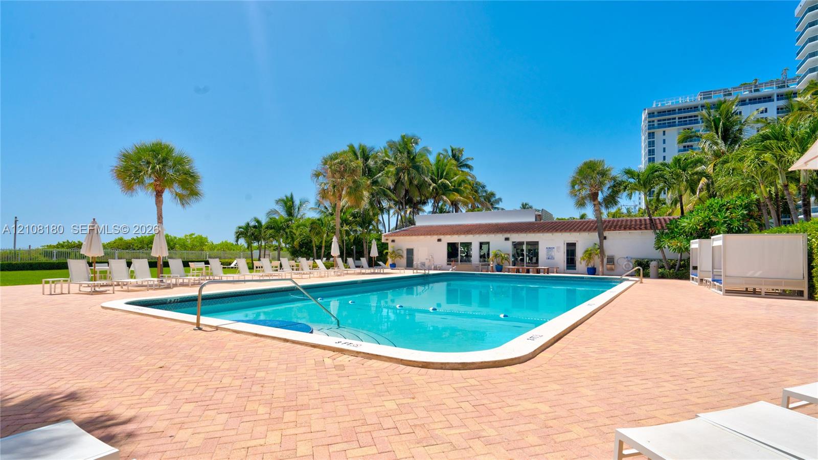 Swimming pool featuring a terra-cotta paver deck, metal pool ladder, and mature palm trees