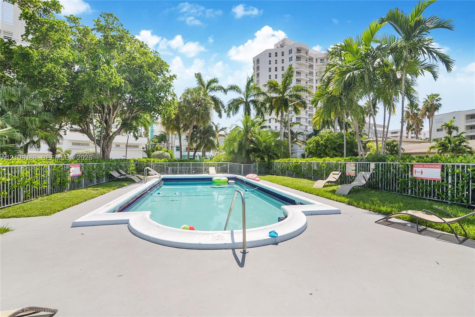 In-ground swimming pool with contoured coping, concrete pool deck, perimeter fencing, and mature palm trees