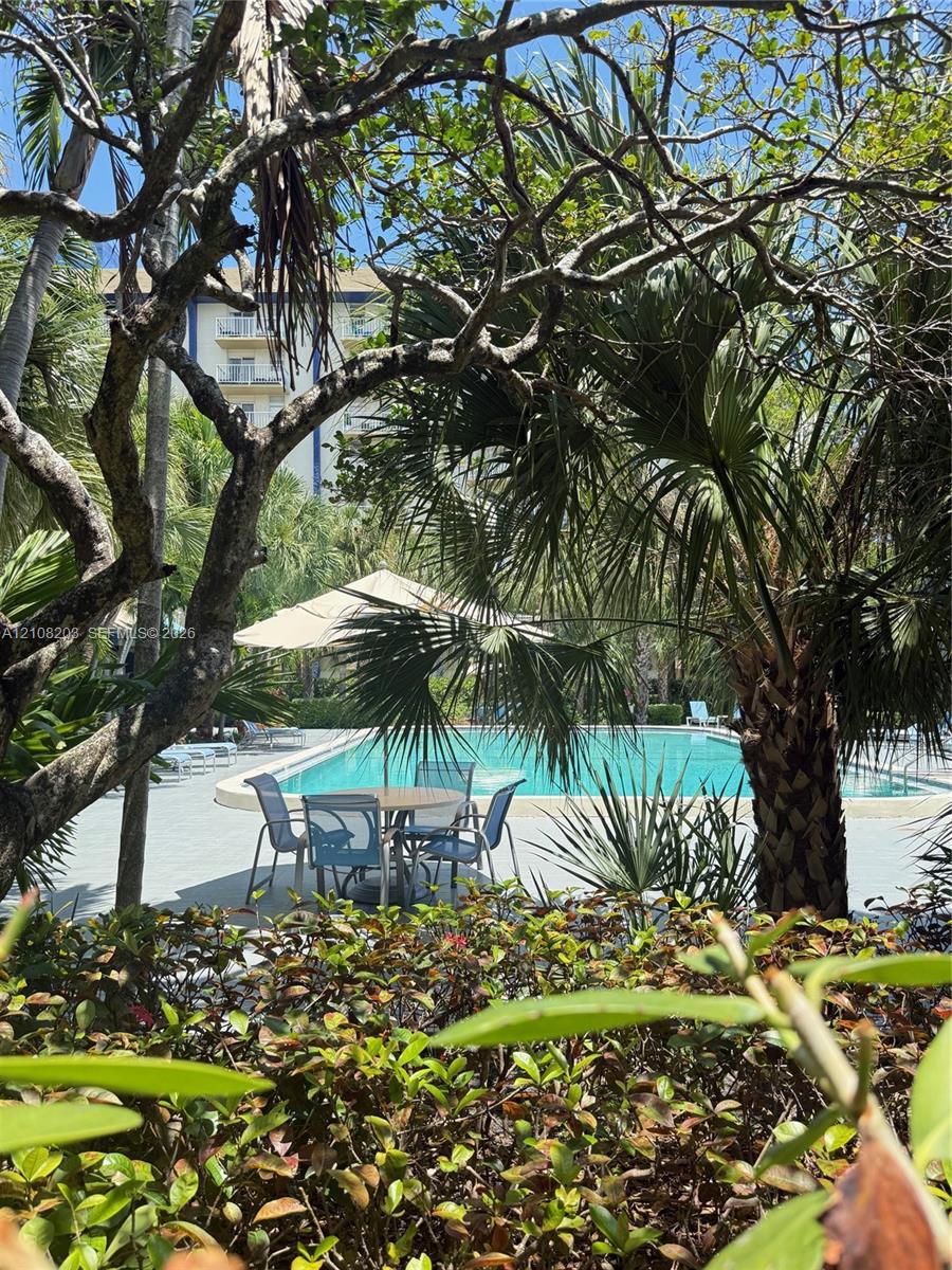 Swimming pool with paved surround, framed by mature trees and landscaped foliage