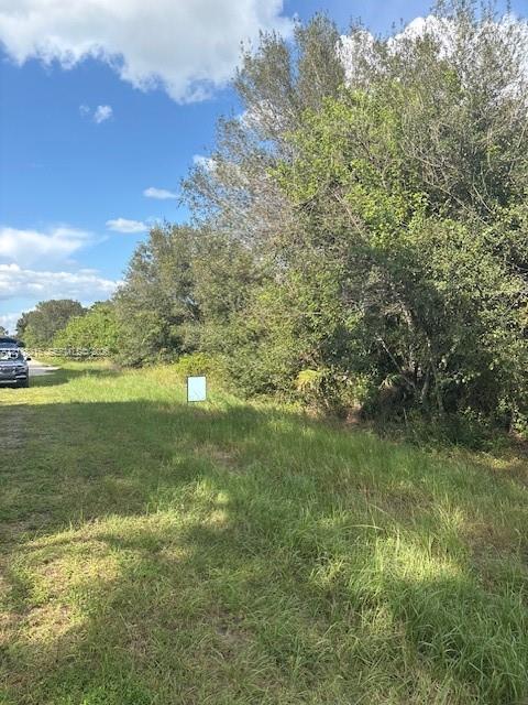 Expansive lot featuring mature trees and established natural vegetation