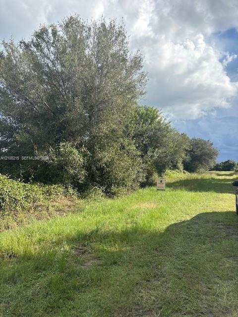 Expansive parcel of land featuring natural grass terrain and mature trees