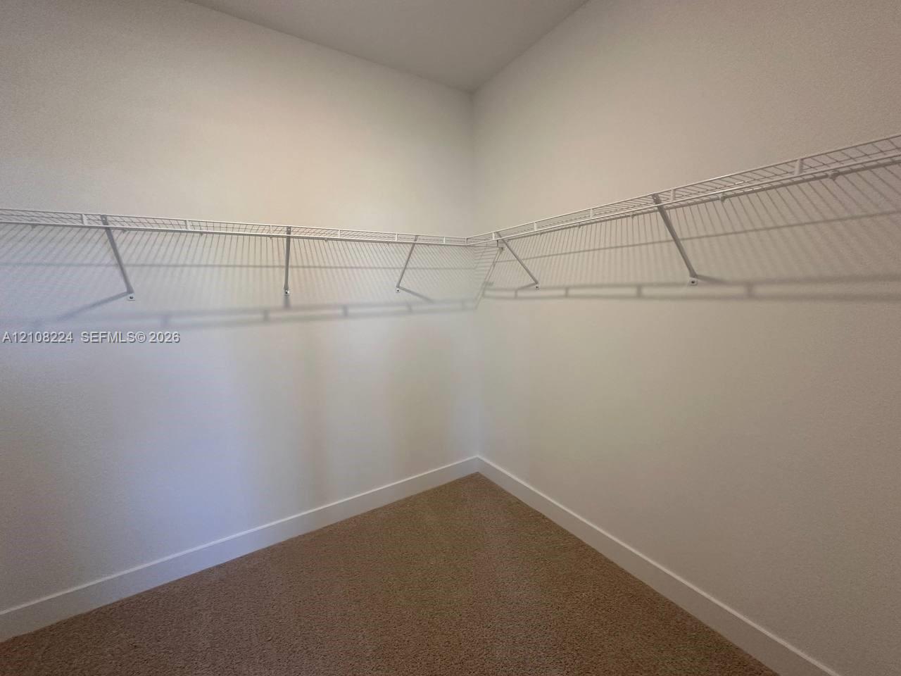 Walk-in storage space featuring neutral carpeting and wrap-around wire shelving