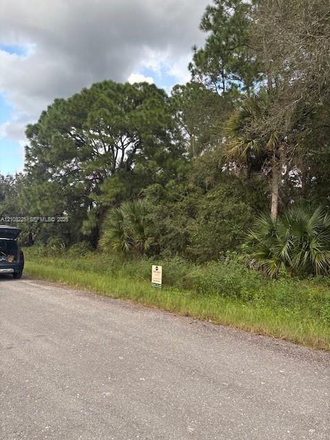 Parcel of land featuring mature pine trees, palmetto palms, and native vegetation