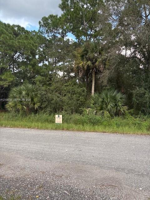 Vacant parcel featuring mature pine trees, native palmetto palms, and established vegetation