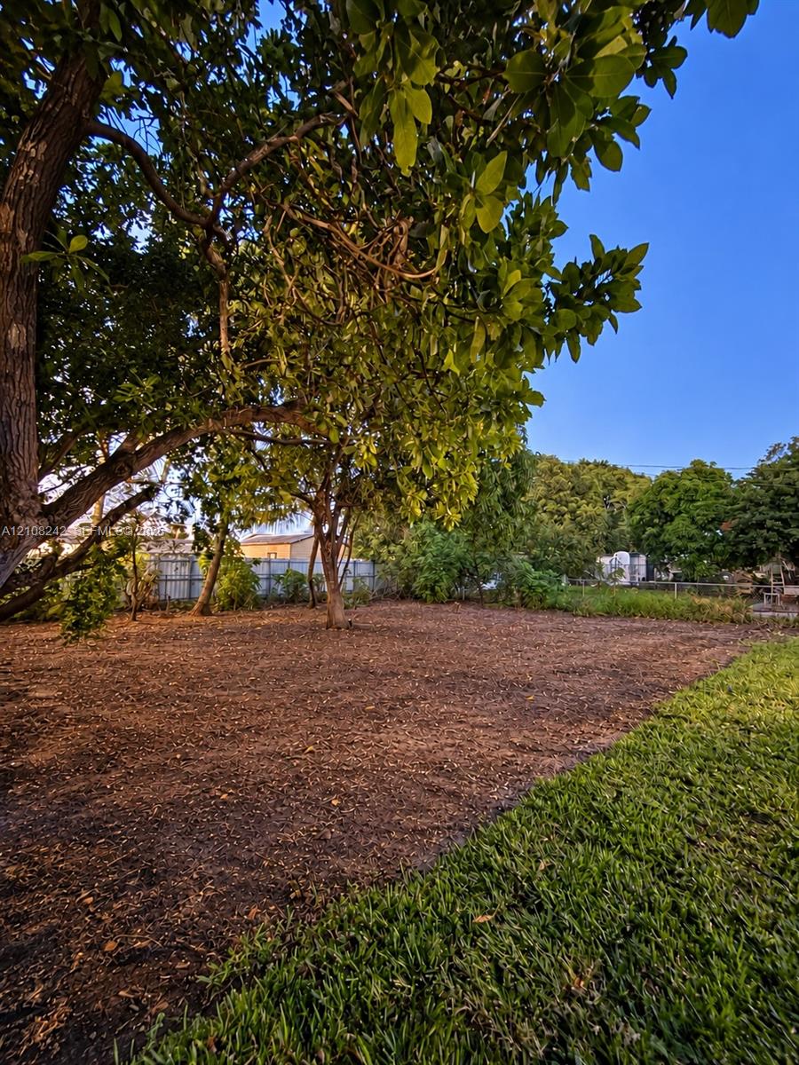 Expansive backyard featuring mature trees, partial grass lawn, and perimeter fencing