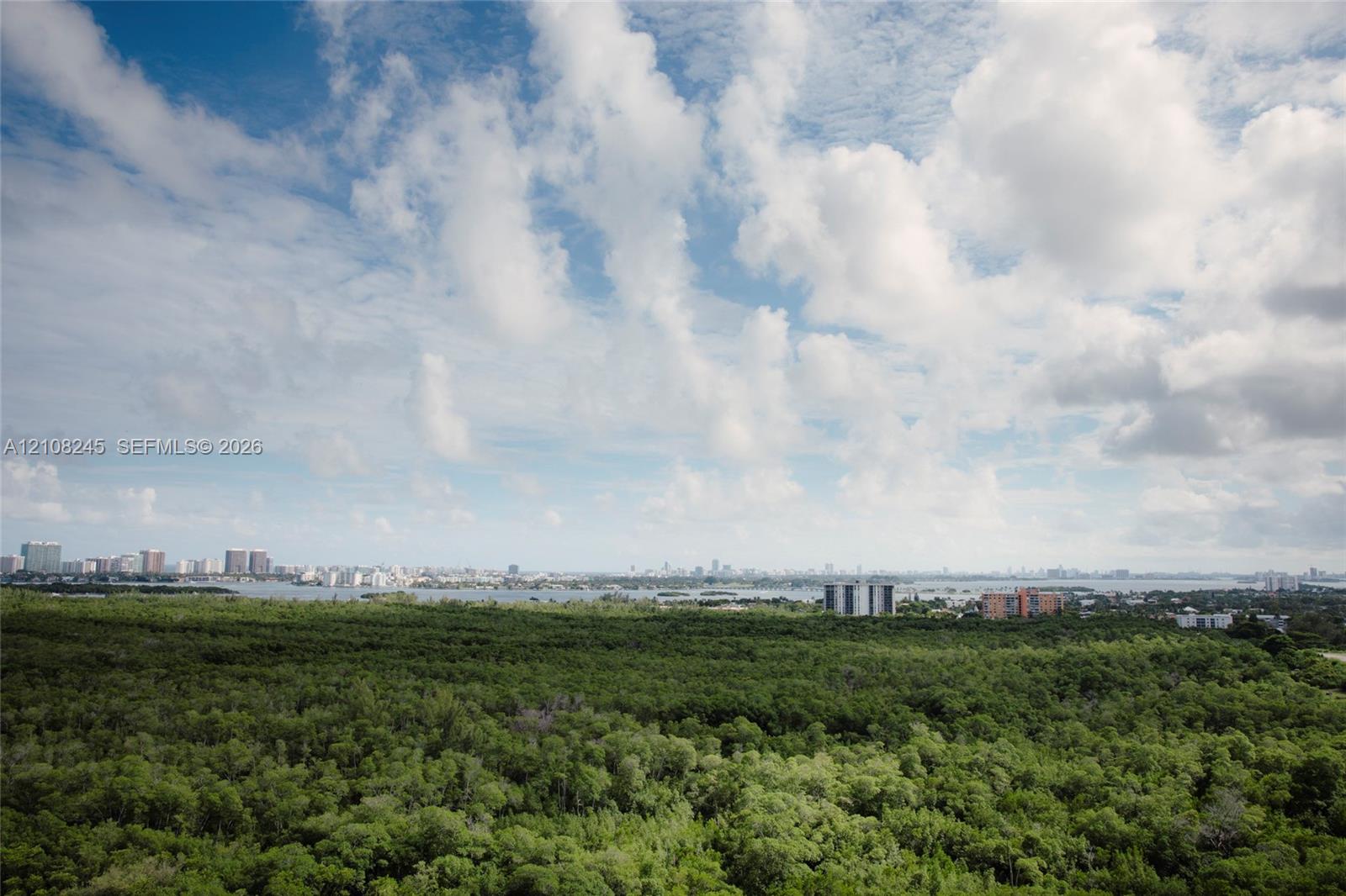 Panoramic landscape featuring dense forest, coastal waters, and a distant city skyline