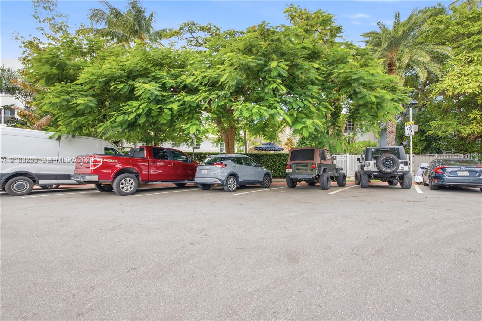 Asphalt parking area featuring marked spaces, perimeter privacy hedging, and mature canopy trees
