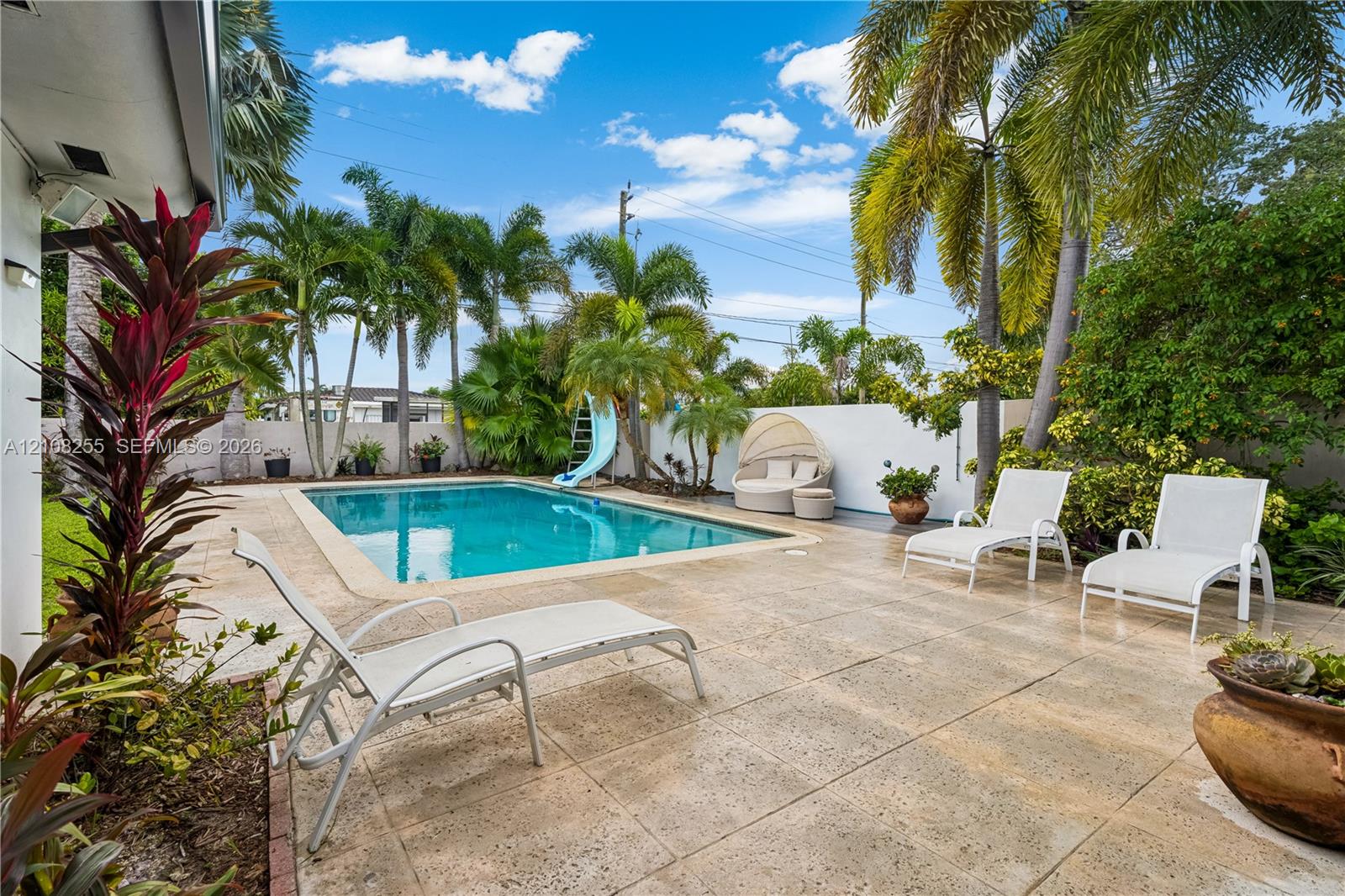 Outdoor space featuring a swimming pool, concrete patio, perimeter wall, and mature palm trees