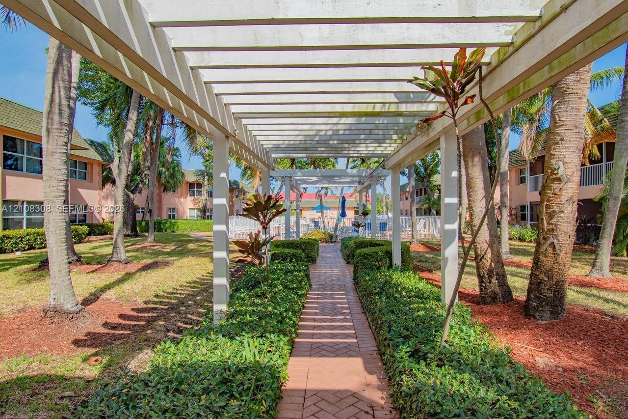 White wooden pergola extending over a brick-paved walkway, bordered by manicured hedge rows and mature palm trees