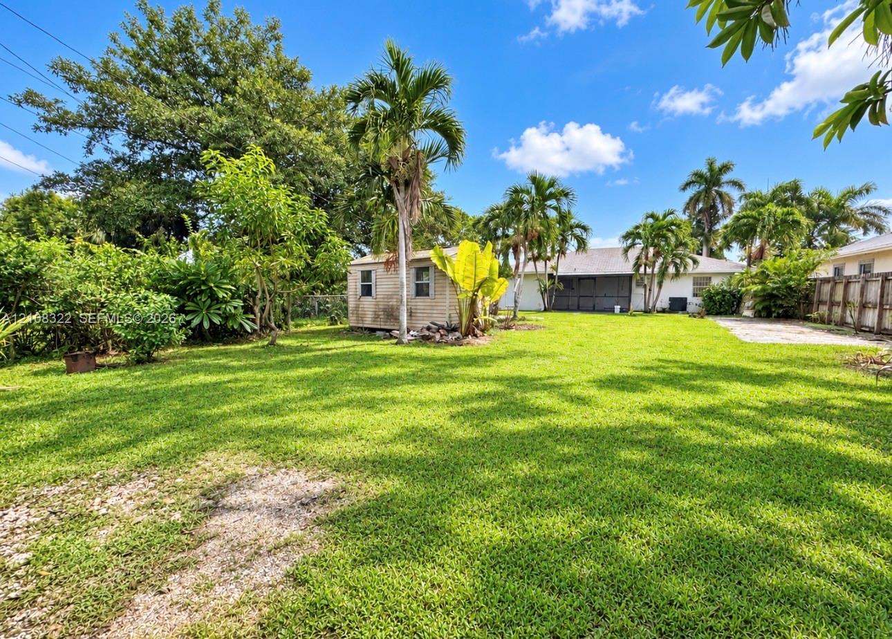 Expansive backyard featuring a large grass lawn, mature palm trees, detached storage structure, and perimeter fencing