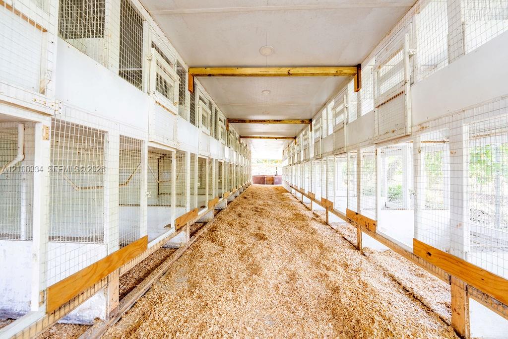Chicken Coop