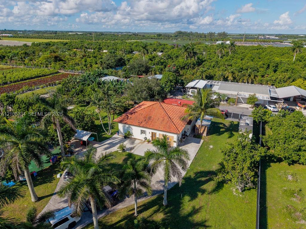 Single-story residence featuring a terracotta-tiled hip roof, stucco exterior, concrete driveway, and mature palm landscaping on a spacious parcel