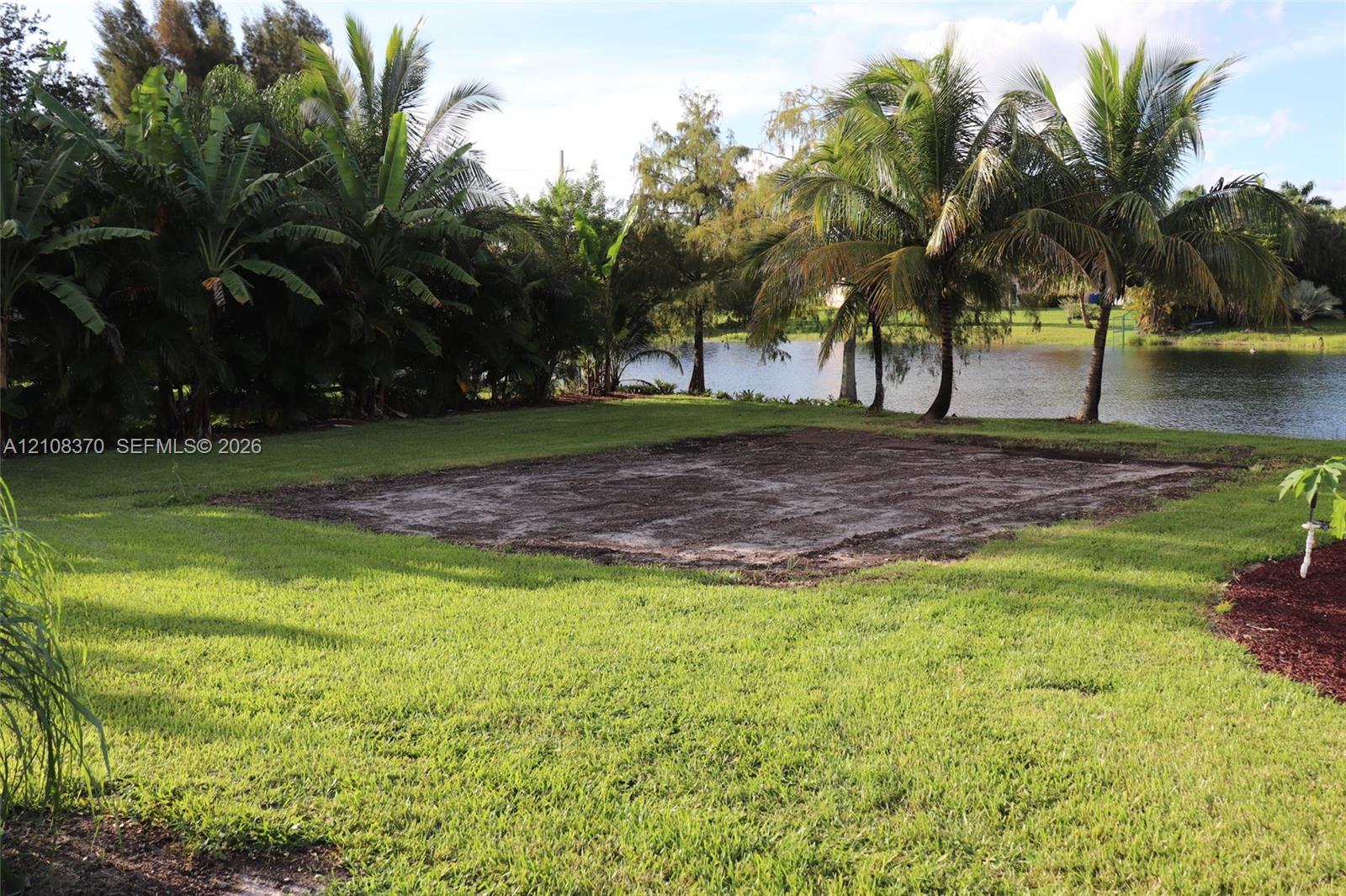 Expansive backyard featuring mature palm trees, direct waterfront access, and a cleared earthen pad