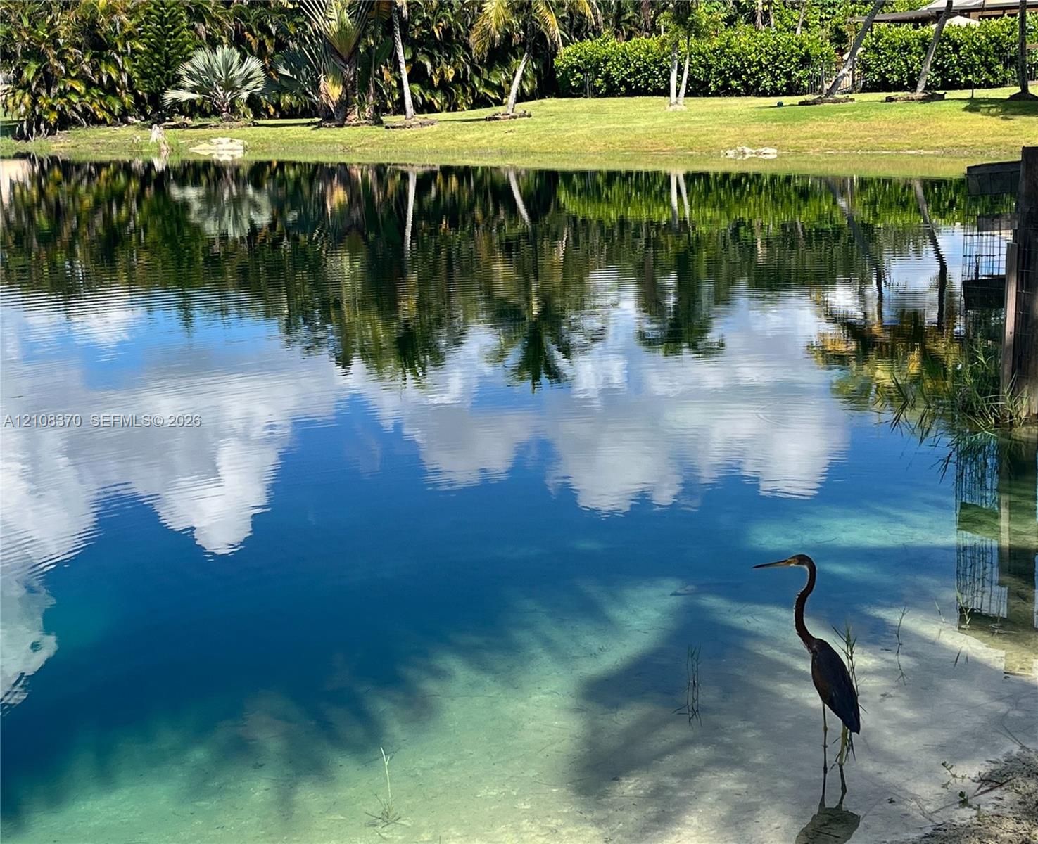 Waterfront property featuring a clear pond with a sandy shoreline, manicured grassy expanse, and mature palm trees