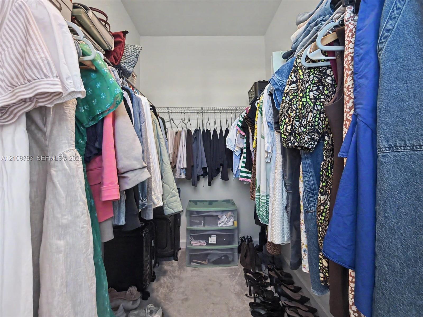 Walk-in closet featuring wire shelving and carpeted flooring