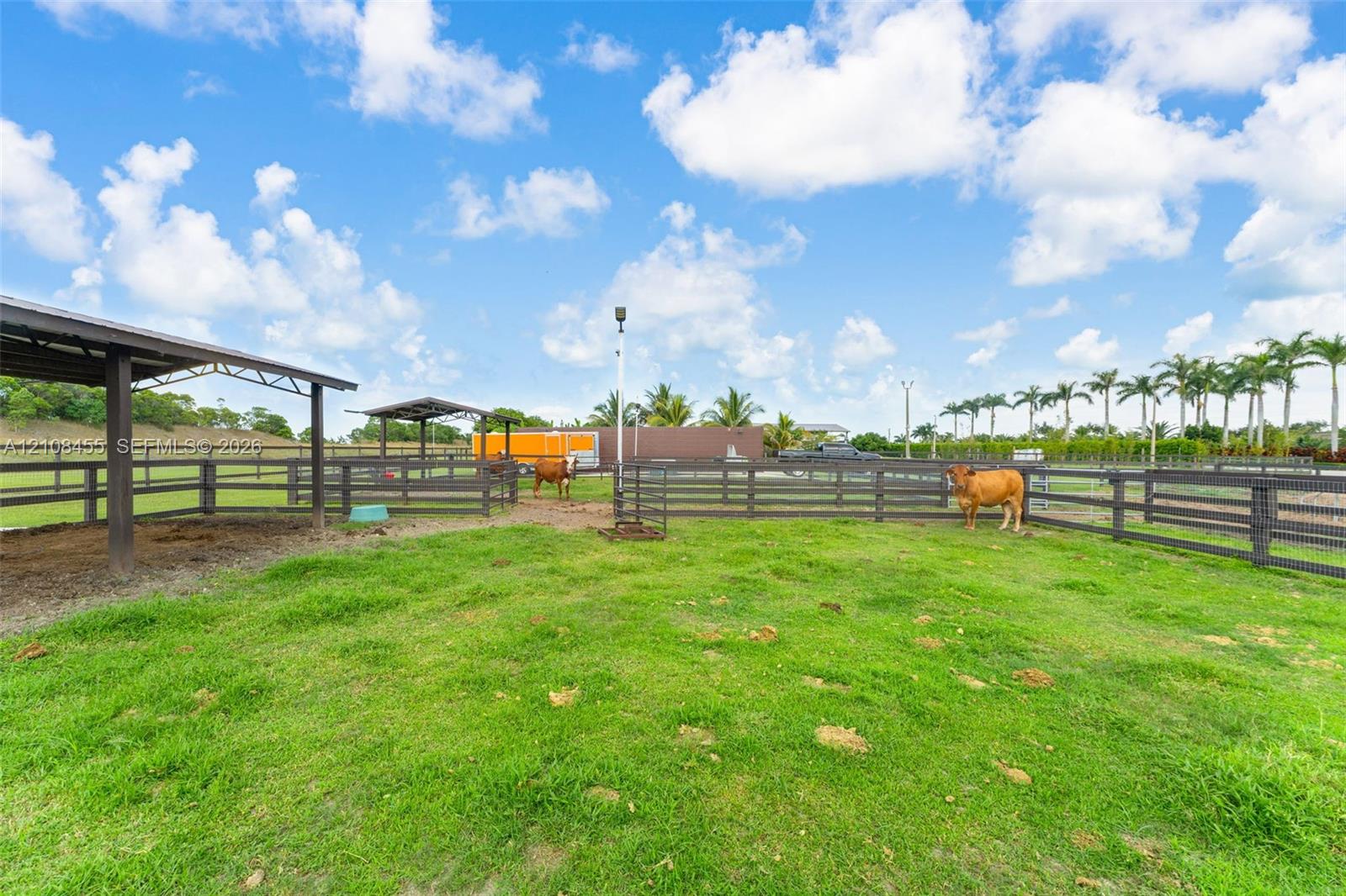 Expansive pasture area featuring dark wood-style post-and-rail fencing, multiple covered stalls, and a line of perimeter palm trees