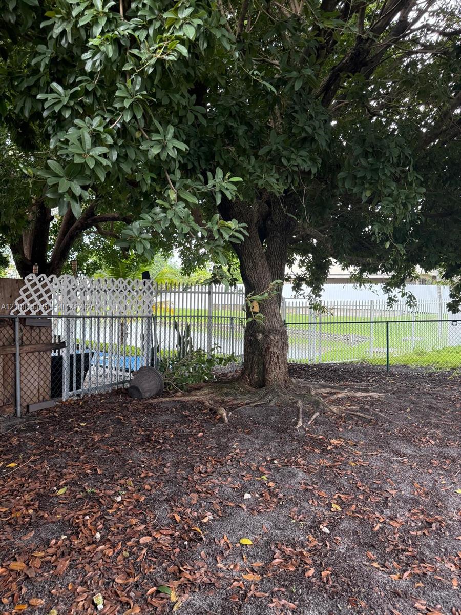 Outdoor space featuring mature shade trees, white lattice privacy fencing, and metal perimeter fencing